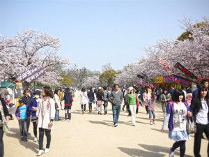 Japanska språkresa Fukuoka