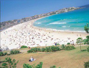 Engelska språkresa Sydney - Stranden