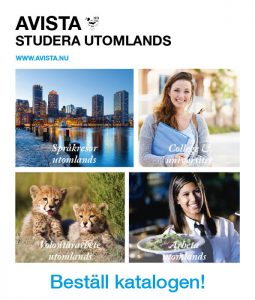Beställ vår katalog!
