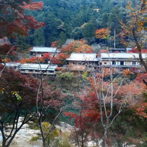 RB-Kyoto-Emma Toth
