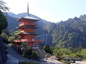 RB-Kyoto-Emma Toth